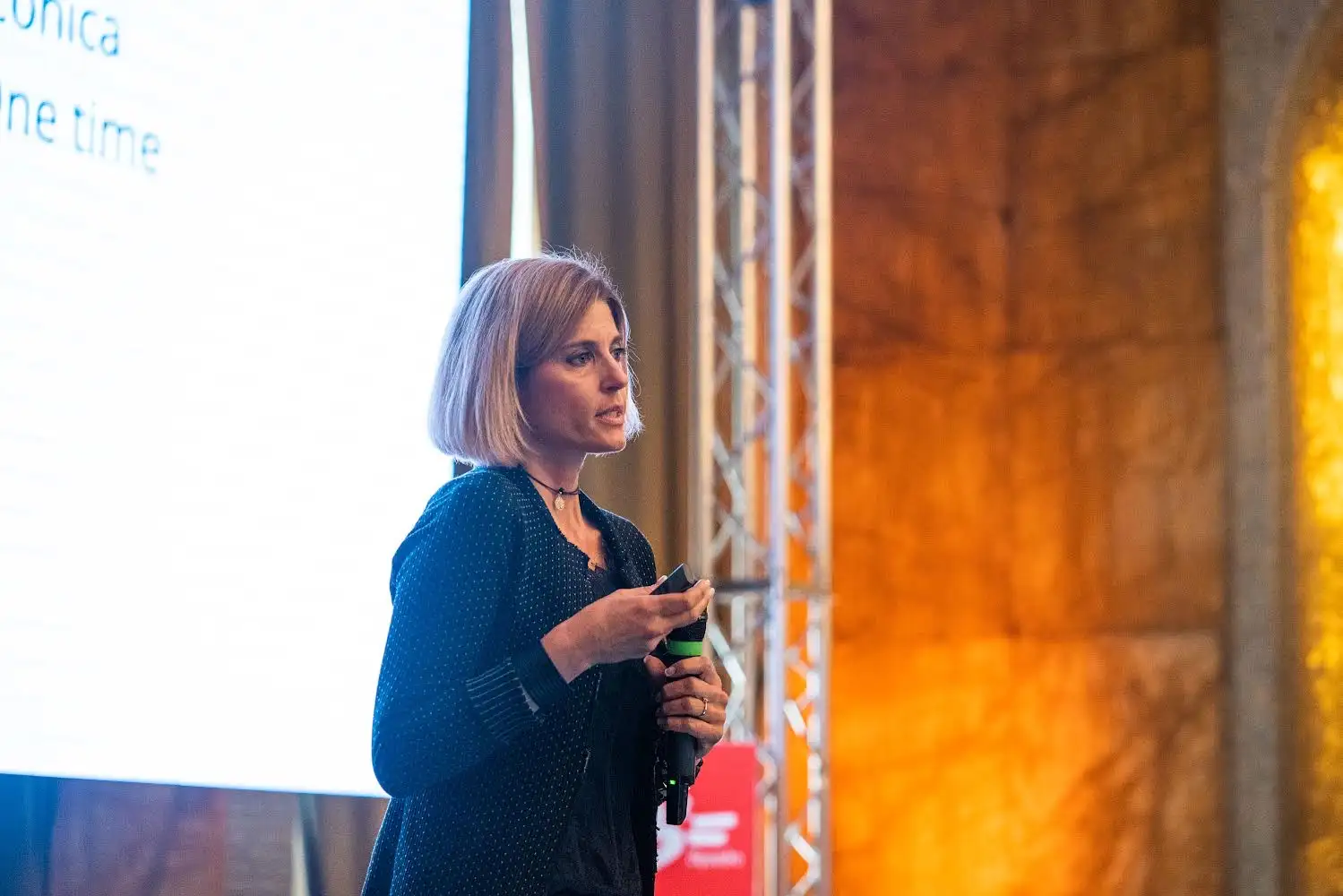 Prof.ssa Magda Mensi durante una conferenza scientifica